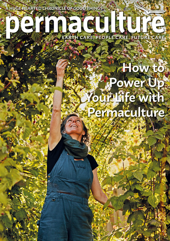 Permaculture magazine #118 – single issue