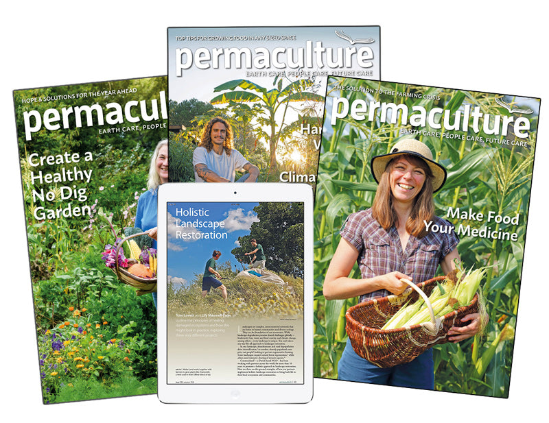 Permaculture magazine explores organic gardening, regenerative agriculture, natural medicine, foraging, natural building, education, community and more.