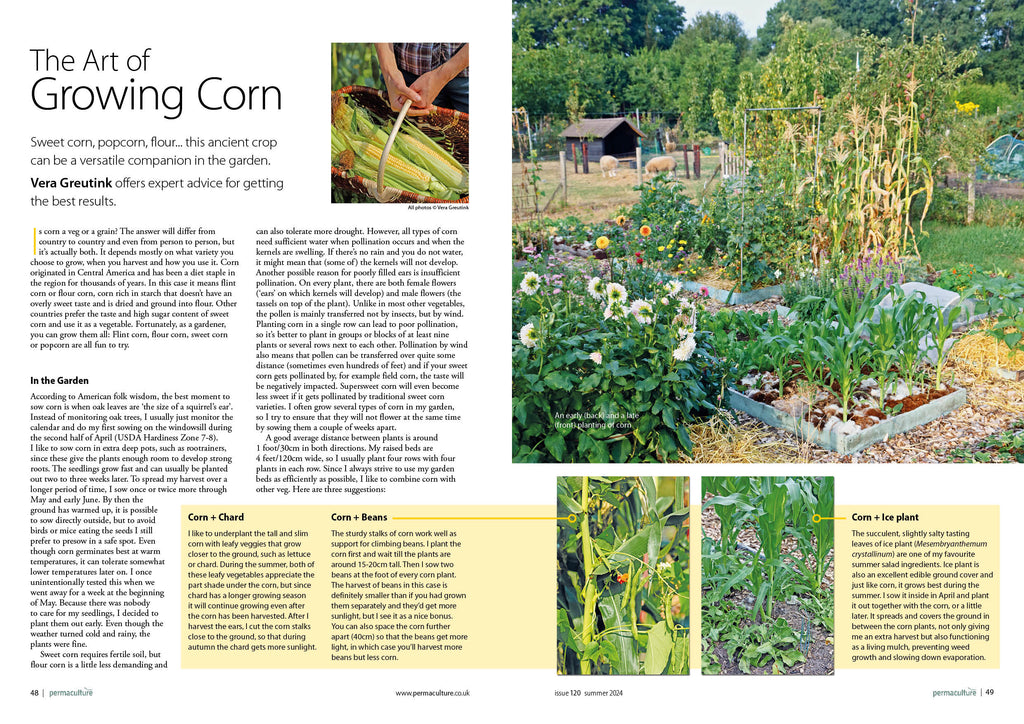 Permaculture magazine #120 – single issue