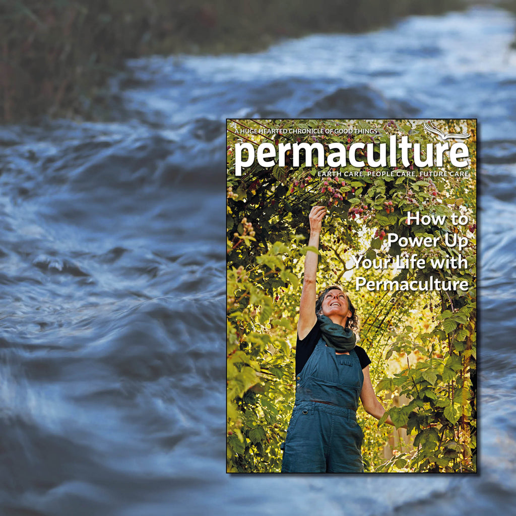 Permaculture Market