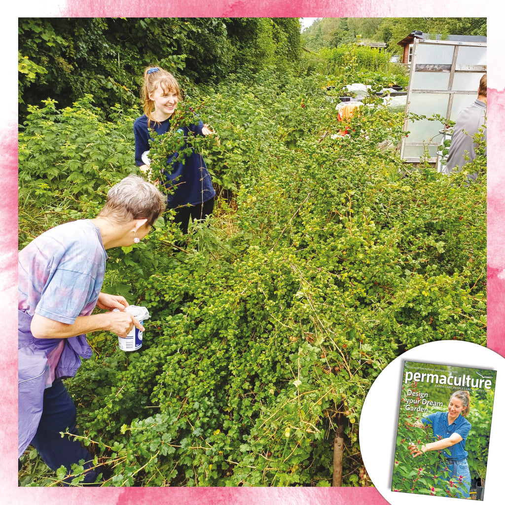 Permaculture magazine subscription – non-UK
