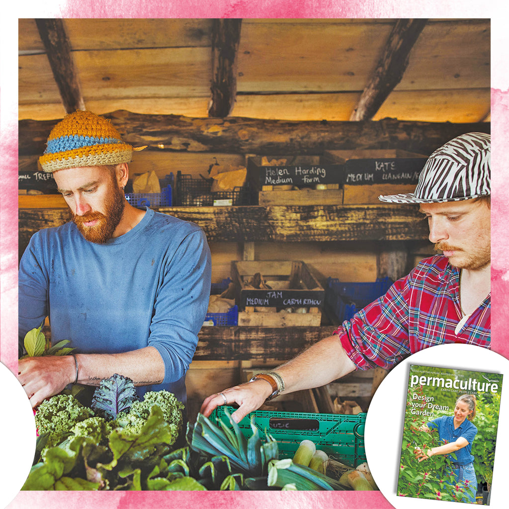 Permaculture magazine subscription – UK ONLY