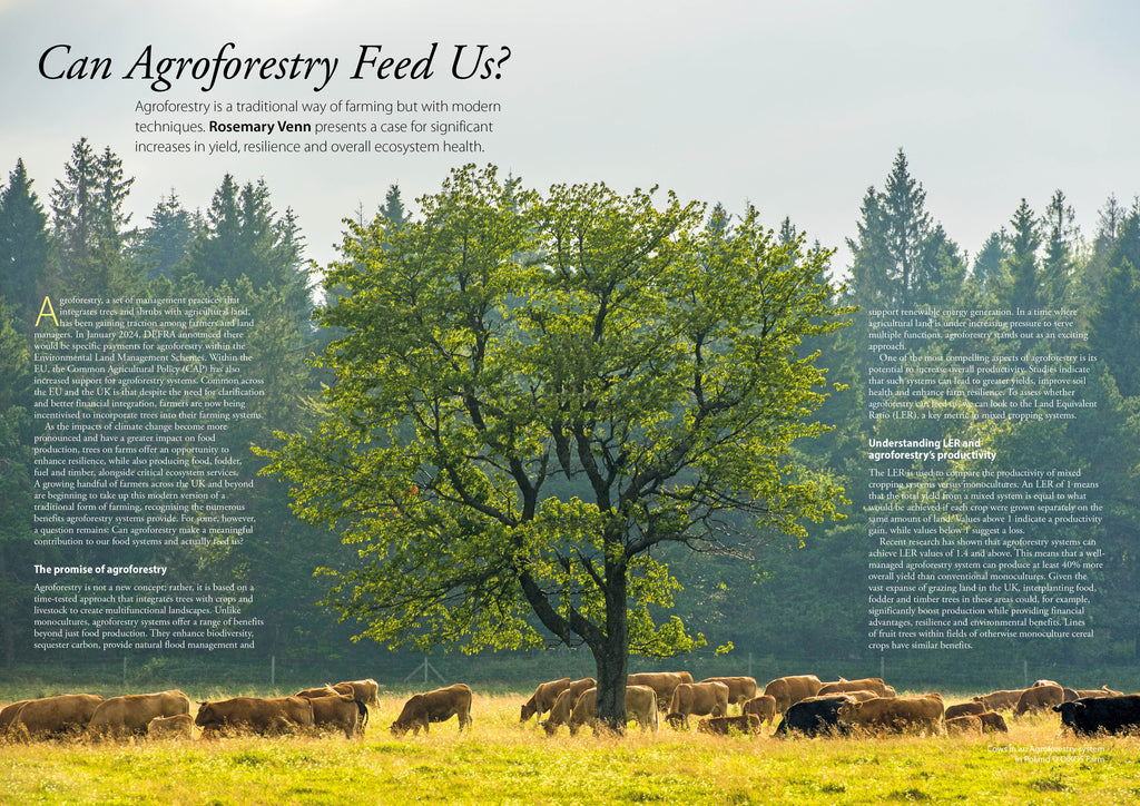 Permaculture magazine subscription