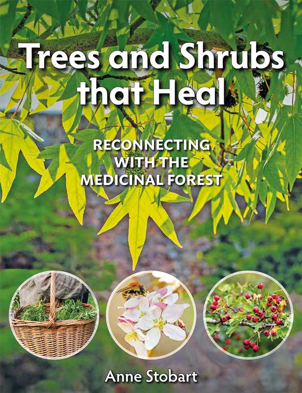 Trees and Shrubs that Heal