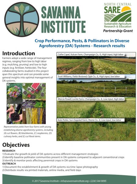 Agroforestry Performance, Pests and Pollinators