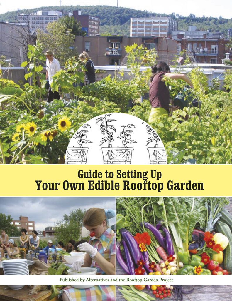 Guide to Setting Up Your Own Edible Rooftop Garden
