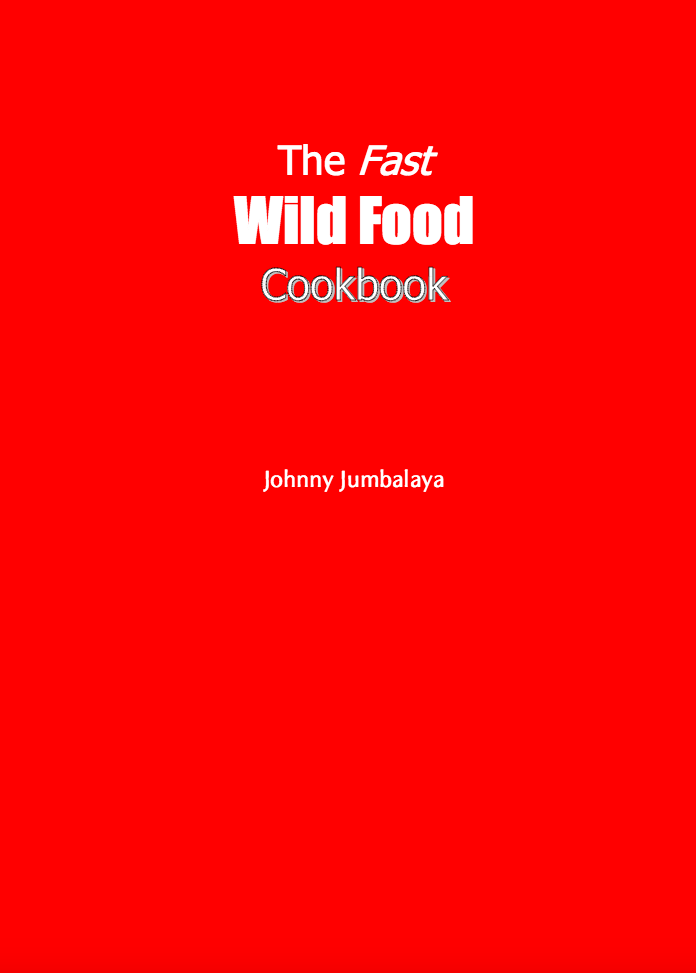 The Fast Wild Food Cookbook