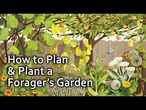 The Forager's Garden | Permaculture Market